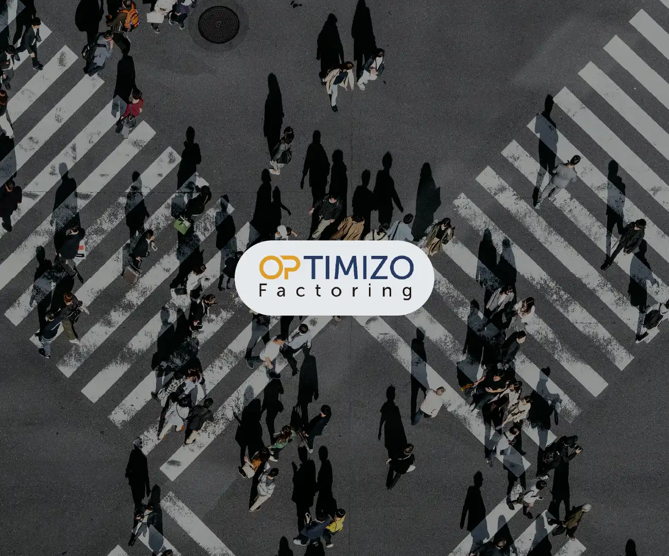 CE-Optimizo